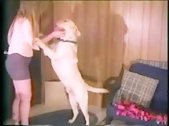 Chihuahua Eats Out Teen Cunt & Arsehole