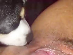 amateur homemade with dog 15