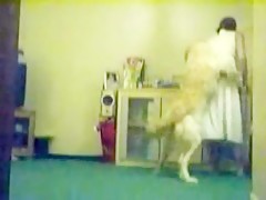 Amateur - Webcam - Teen sucks dog dick
