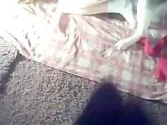 girl dog lick webcam