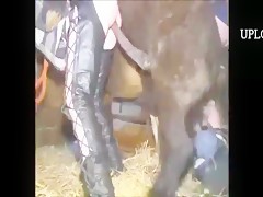 Hidi and Her Horse, suck and fuck