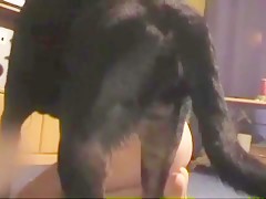 Short dog sex from behind