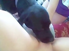 Licked by dog 3