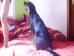 couple´s dog games