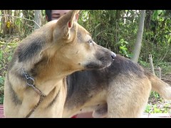 ASIAN DOG PETTING