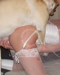 album-cover