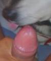 daddydogsex's Avatar