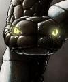 snake_2012's Avatar