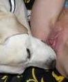 dog6master's Avatar