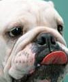 costiniadis's Avatar