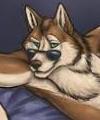 wolfman123's Avatar
