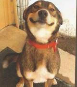k9xxx's Avatar