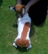 Katyandraoul's Avatar