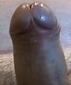 dirtyoldman1953's Avatar
