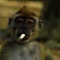 ab1100's Avatar