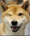 Neron's Avatar