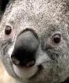 creamylou's Avatar