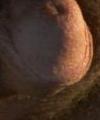 pipelayer6355's Avatar
