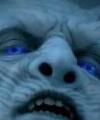 karrui's Avatar
