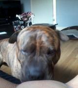 sunflower1990's Avatar