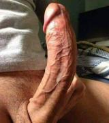 mihoub1kham2054's Avatar