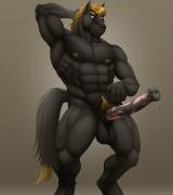 wetstallion's Avatar