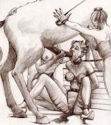 hairlessjoe's Avatar