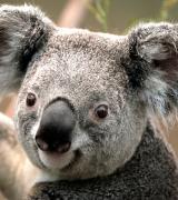 linda23girl's Avatar