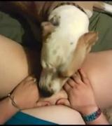 doglover86's Avatar