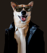 boldt's Avatar