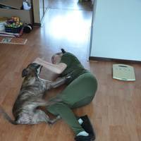 mywifelovedogs's Avatar