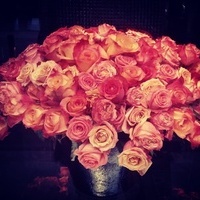 bullparis76's Avatar