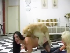 Rus Girl Dog Sex