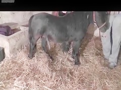 kinkcafe - vixen - lady in white