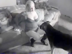 Big Dog Little Dog Sex