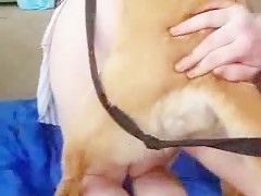 Thumb 11