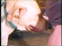 Thumb 14