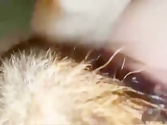 Thumb 16
