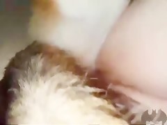 Thumb 17