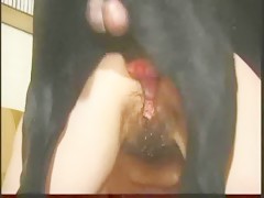 Thumb 16