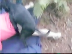 Vixen - AoZ - Romance Noir