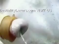 Thumb 11