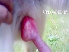 Thumb 18