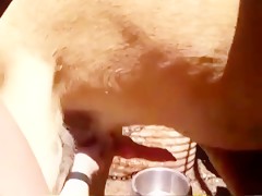 Monica mattos horse cum!