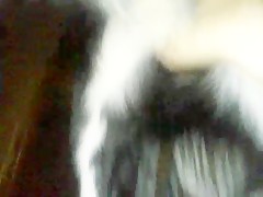 amateur homemade with dog 16