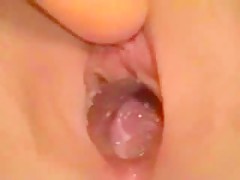 DogShow webcam dog sex 3