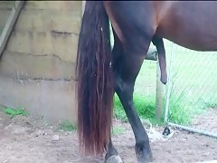 Thumb 16