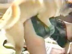 homemade amateur dog cock in pussy