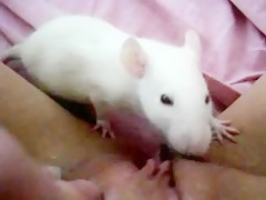 Thumb 12