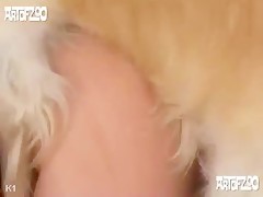 Thumb 6